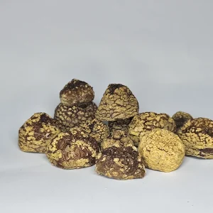 Amanita Regalis Premium Class ++ Unopened