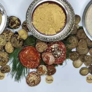 Dried Amanita Muscaria Powder