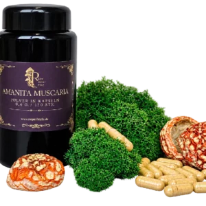 Cápsulas de Amanita muscaria – Producto botánico para incienso y colección