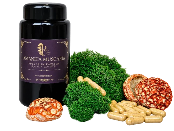 Cápsulas de Amanita muscaria – Producto botánico para incienso y colección