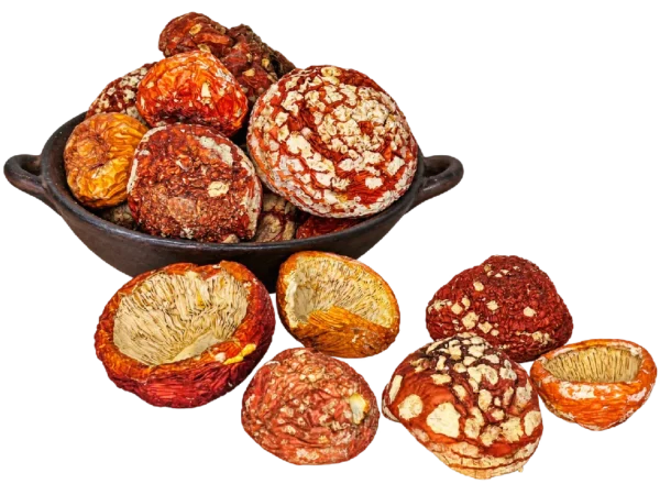 Sombreros Premium de Amanita muscaria