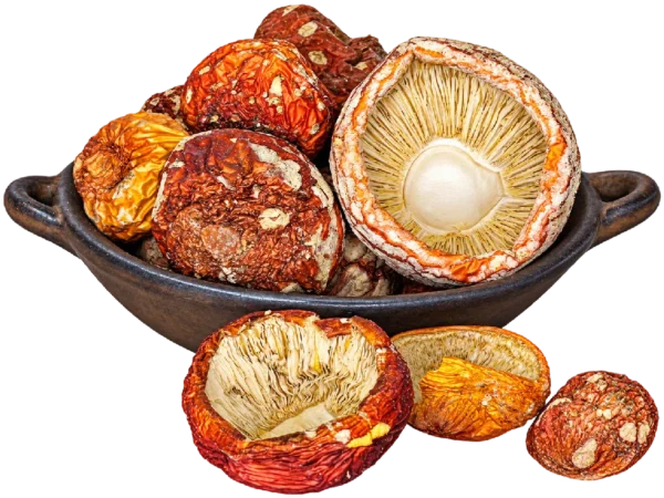 Sombreros Premium de Amanita muscaria