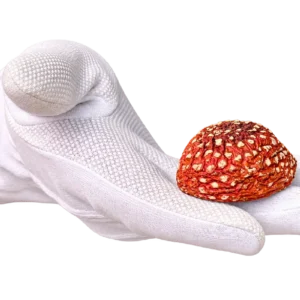 Sombreros Premium de Amanita muscaria