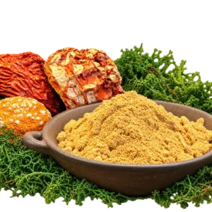 Polvo de Amanita muscaria – Producto botánico para incienso y colección
