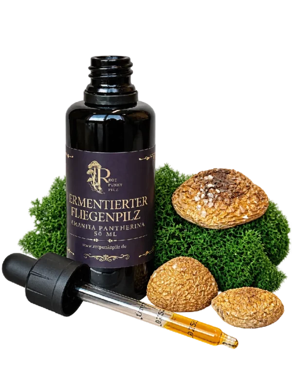 Fermentum de Amanita pantherina