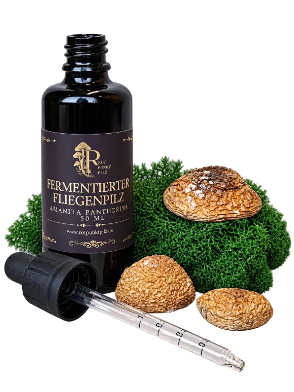 Fermentum de Amanita pantherina