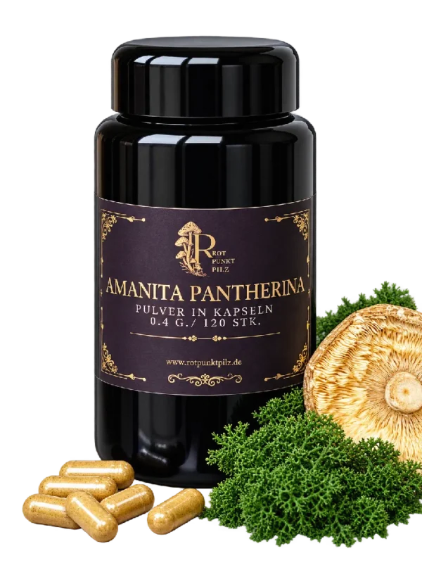 Капсулы Amanita pantherina — ботанический продукт для благовоний и коллекционирования