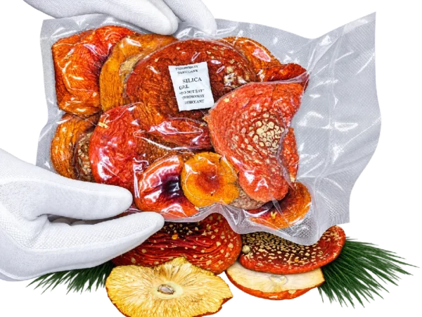 Sombreros de Amanita muscaria – Clase A
