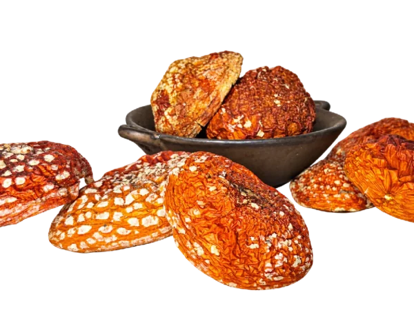 Sombreros de Amanita muscaria – Clase A