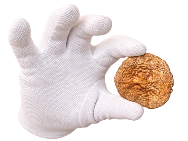Шляпки Amanita pantherina — класс A