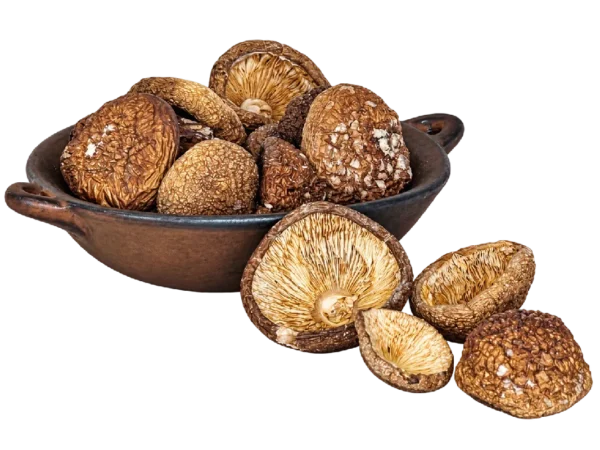 Amanita pantherina Premium Kappen